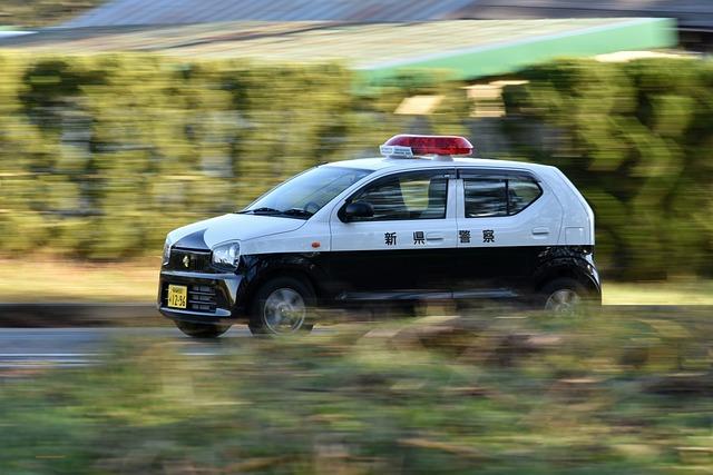 Doporučené hračky a doplňky k Tlapkové Patroli Nano