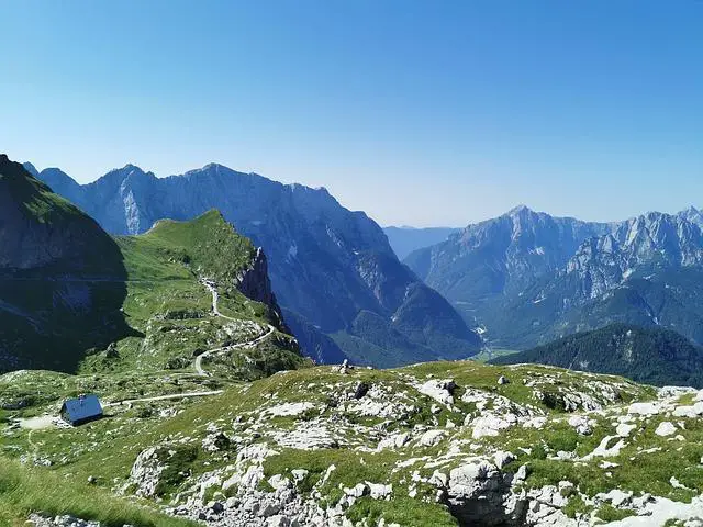 Cesta k nečekané slávě: Rodina a přátelství ⁣Cedrica