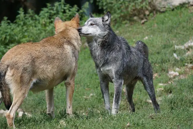 Chronologické pořadí: Jak sledovat filmy podle děje