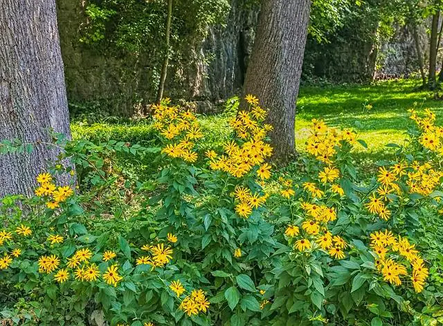 Oblíbené místa v Springfieldu: Bartovy útočiště