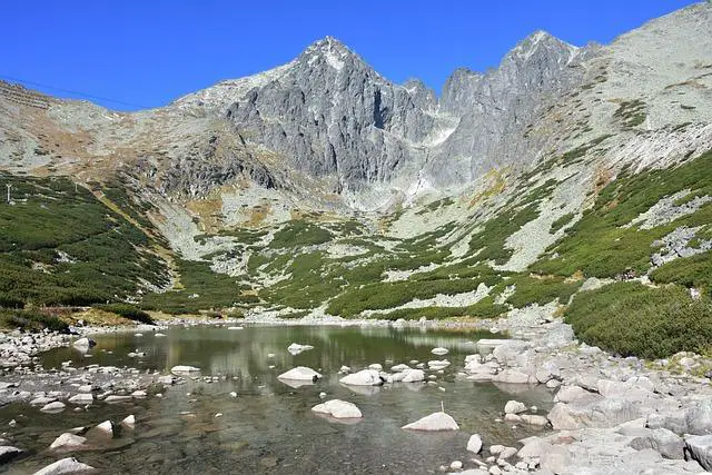 Symbolika štítu: Co pro postavu znamená