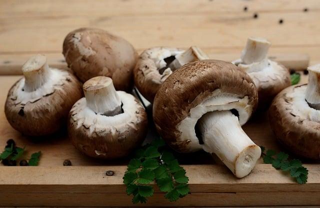 Kde hledat podporu pro vegetariánský styl života