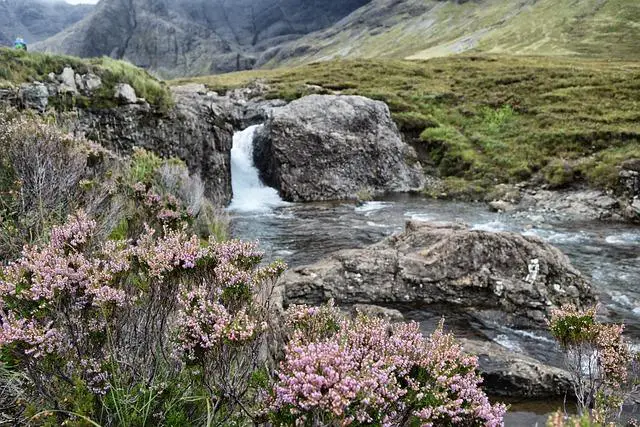 Osobnost Skye Parkin: Cesta k úspěchu na hřišti