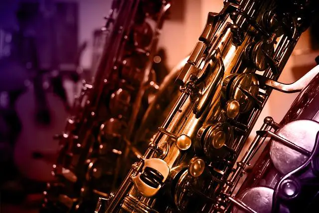 Historie saxofonu v životě Lízy Simpsonové