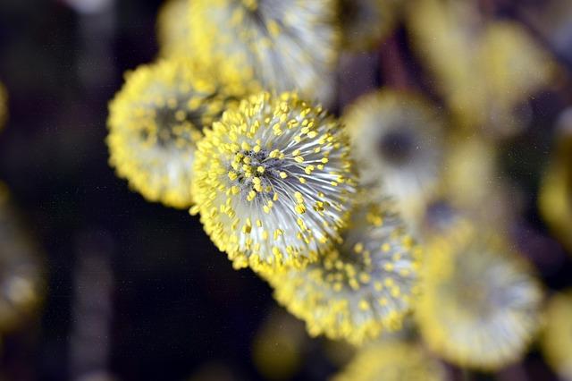 Prevence alergií: Jak chránit děti před potenciálními spouštěči