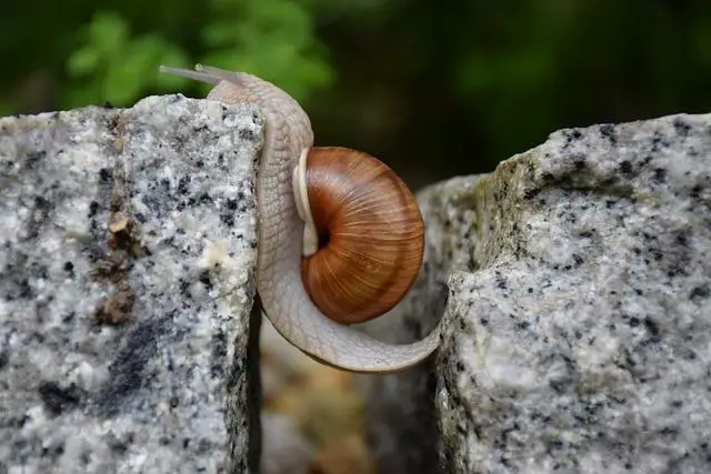 Jak překonat nejobtížnější úkoly a překážky