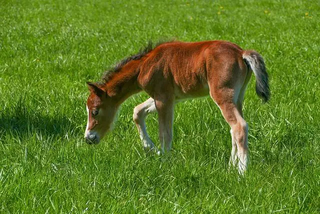 Záhadná minulost Dexter Colta: Klíčové momenty a události, <a href=