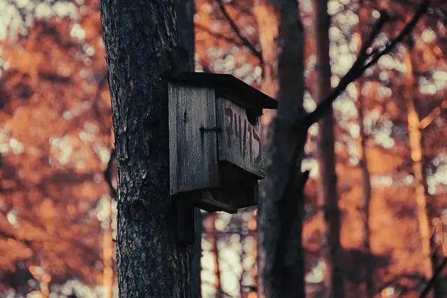 Kde se nachází Brumbálův domek a jak se tam dostat