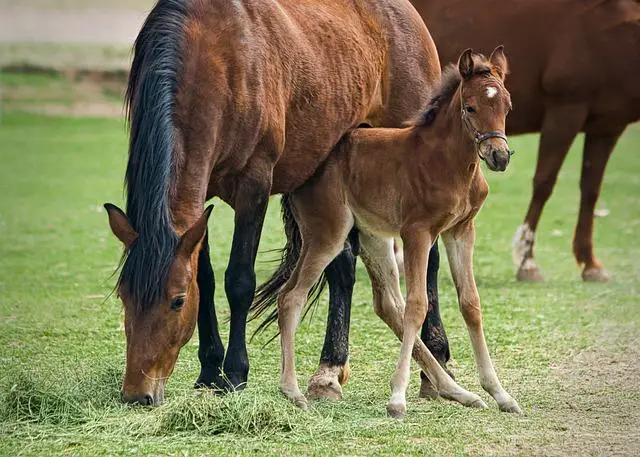 Dexter Colt a jeho vliv na populární kulturu: Jak jeho příběh rezonuje dnes