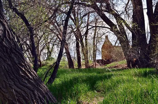 Význam fotografie v⁤ životě Colina Creeveye