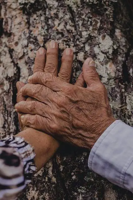 Když se láska střetne ⁤s ⁤nebezpečím:‌ Mollyina odvaha v ⁣krizových situacích